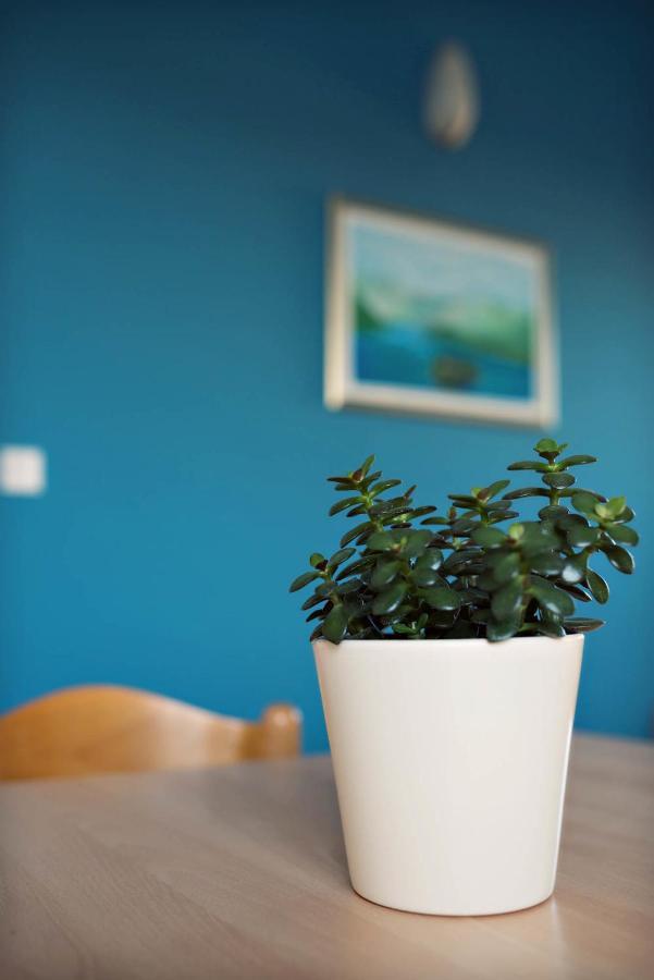 Apartments Zizic Vodice Room photo